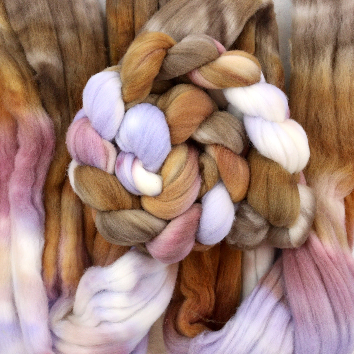 Coco - Rambouillet
