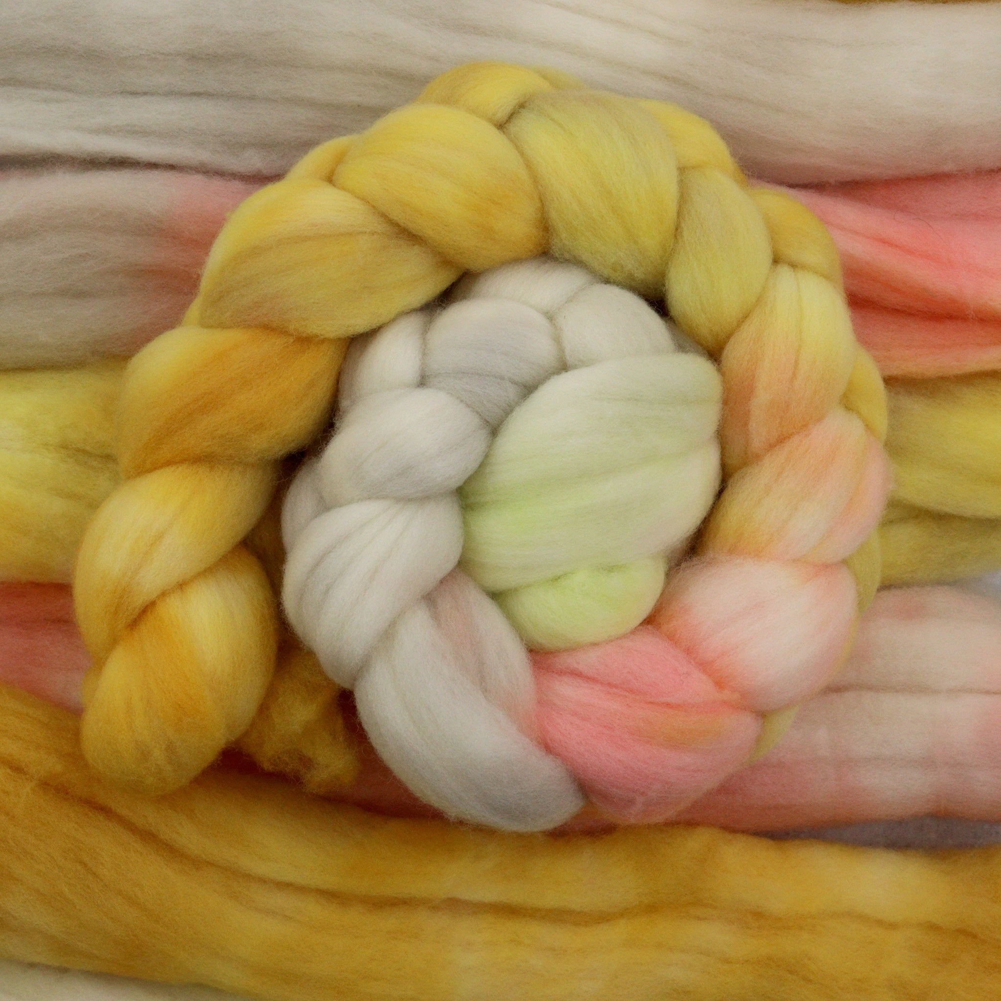 Fizz - Targhee