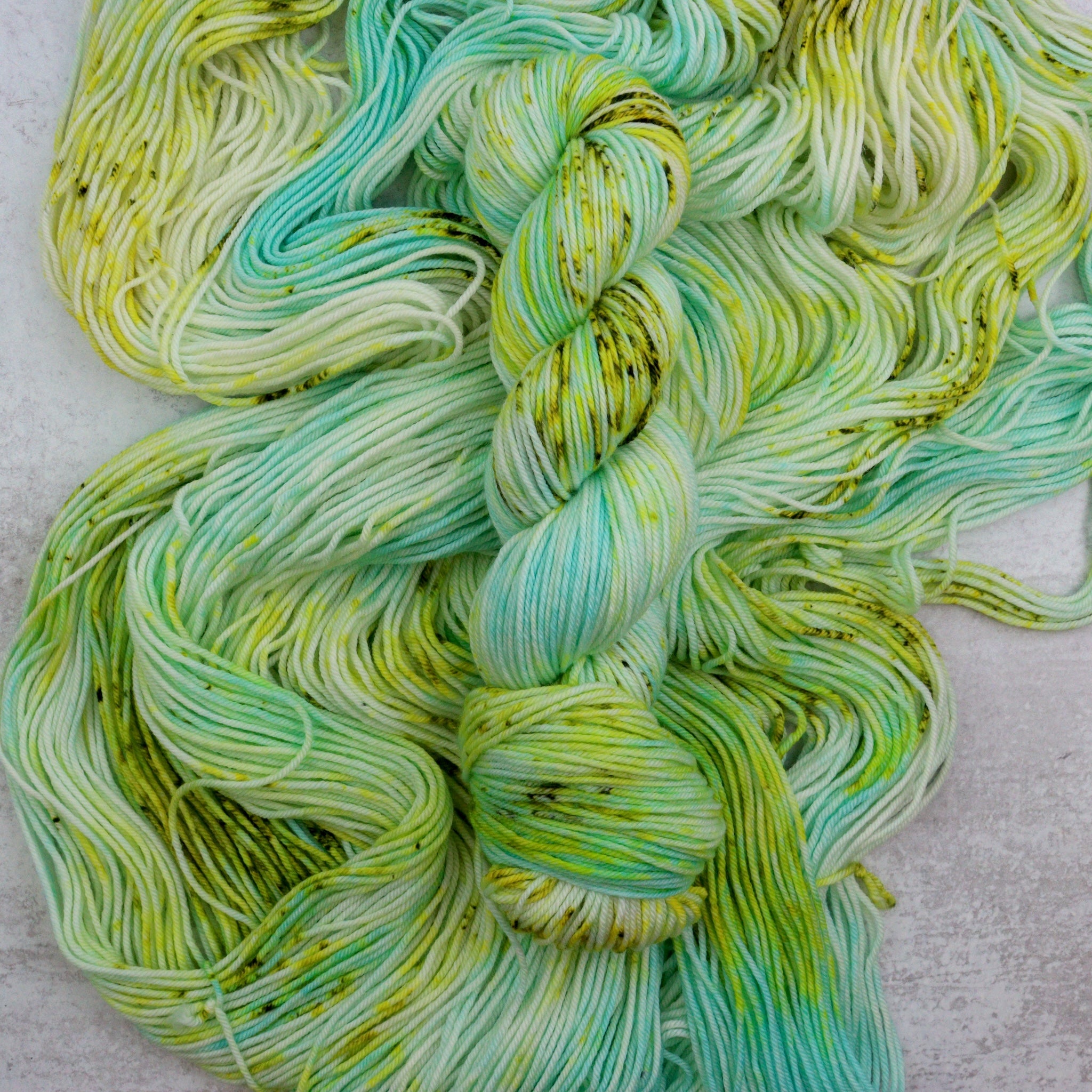 Fresh - Squish DK