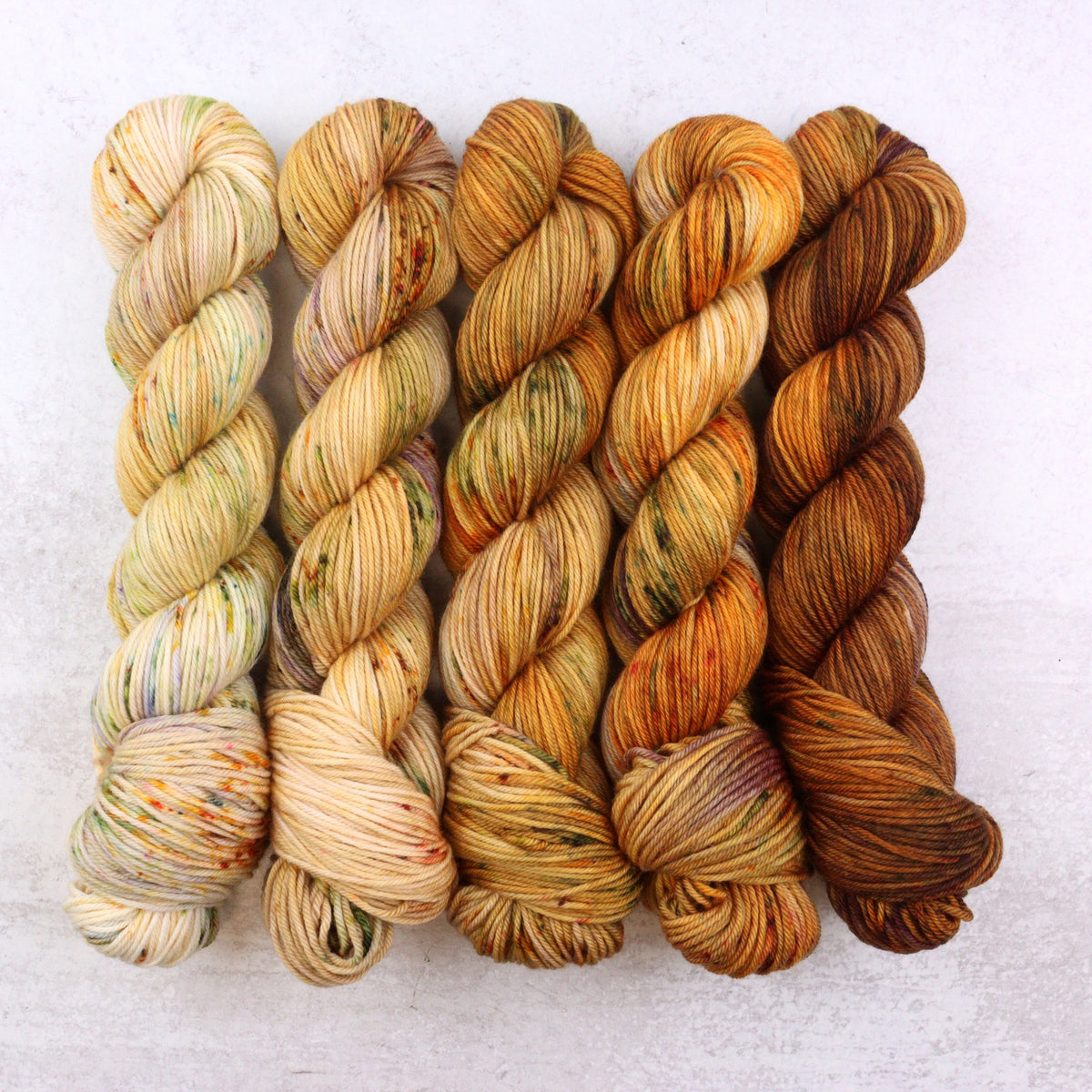 Harvest - Squish DK Fade