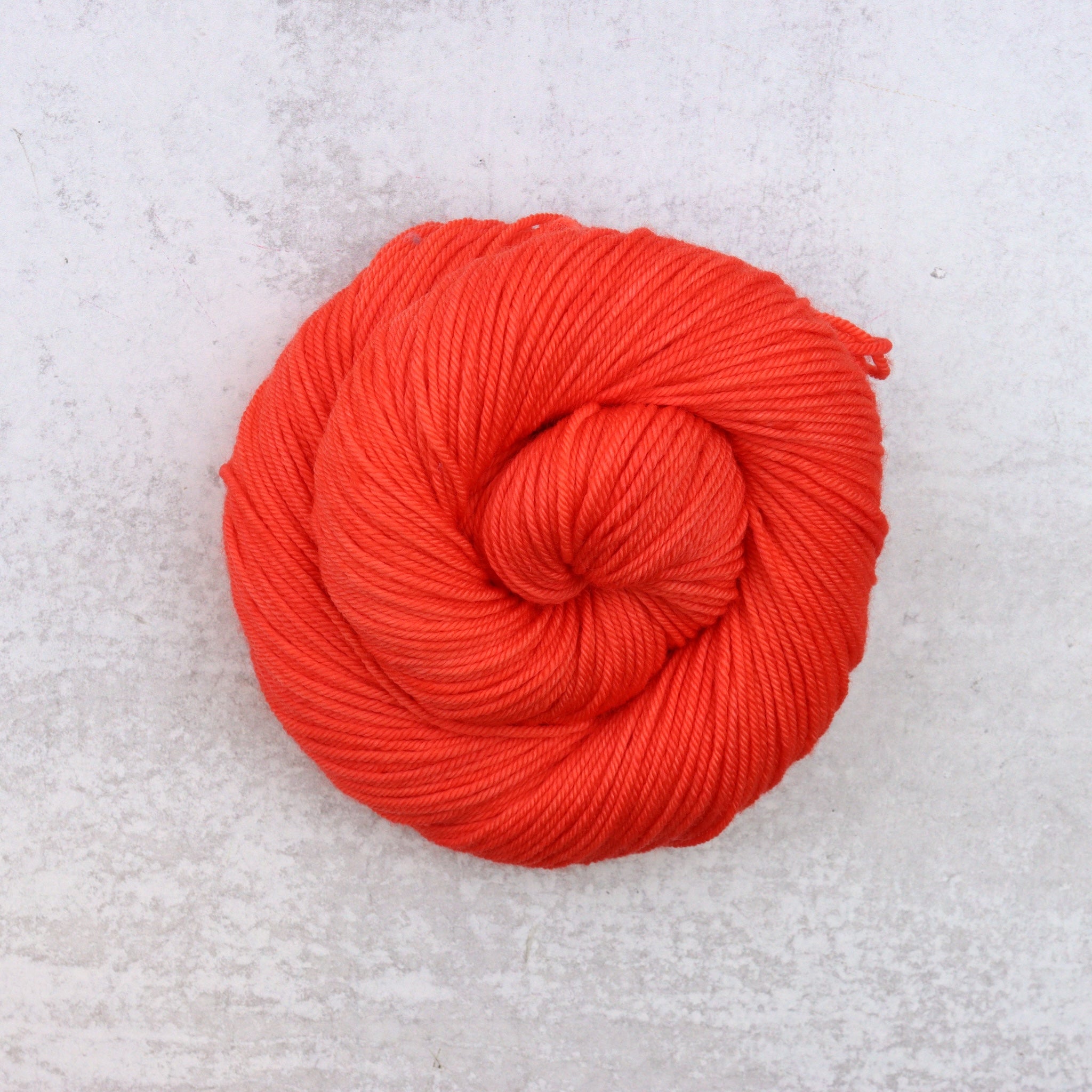 Lippee - Squish DK