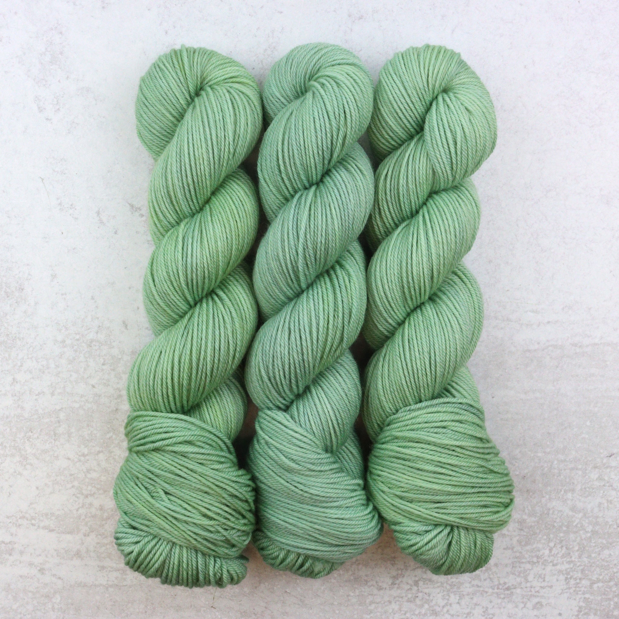 Sage - Squish DK