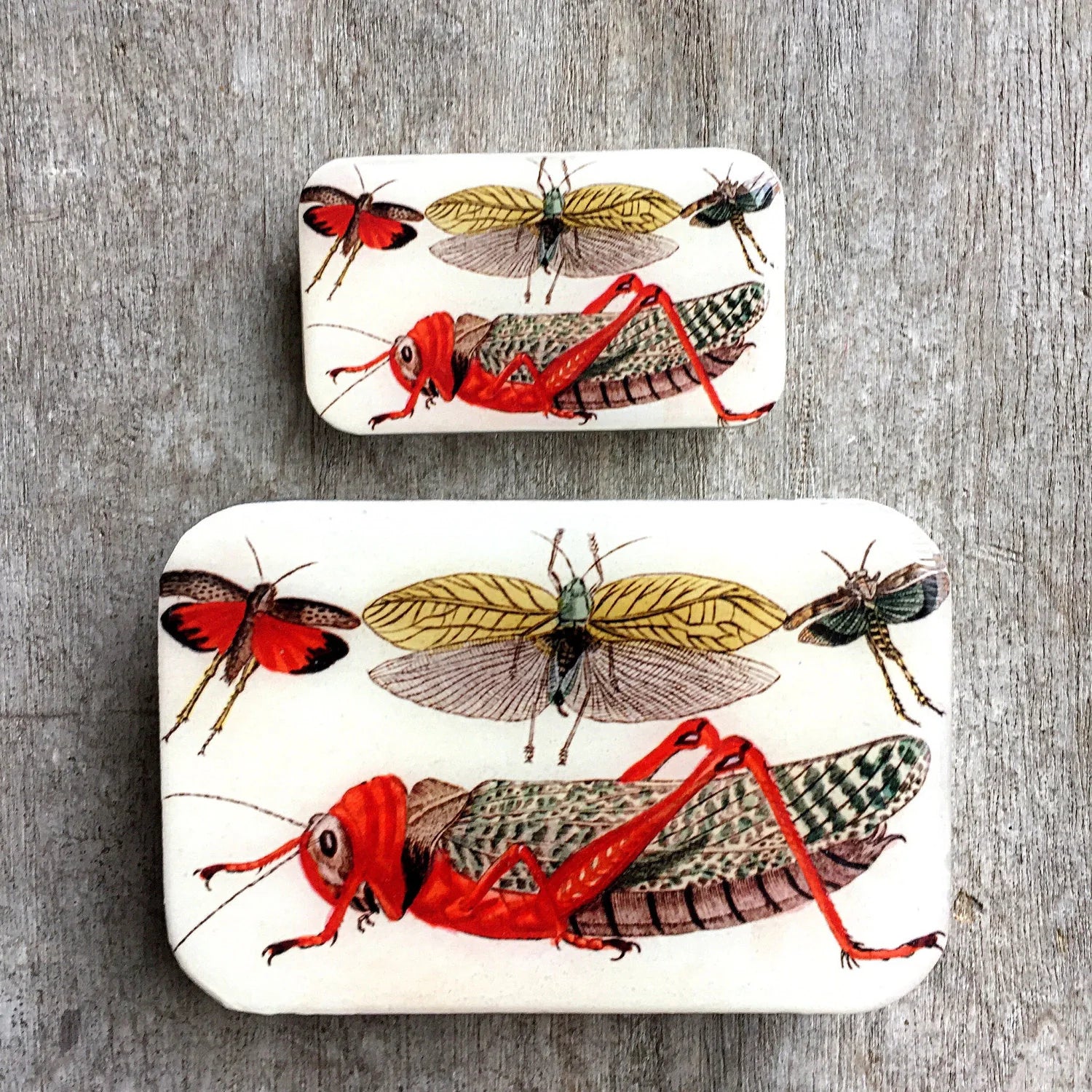 Firefly Notes - Cricket Notions Tin