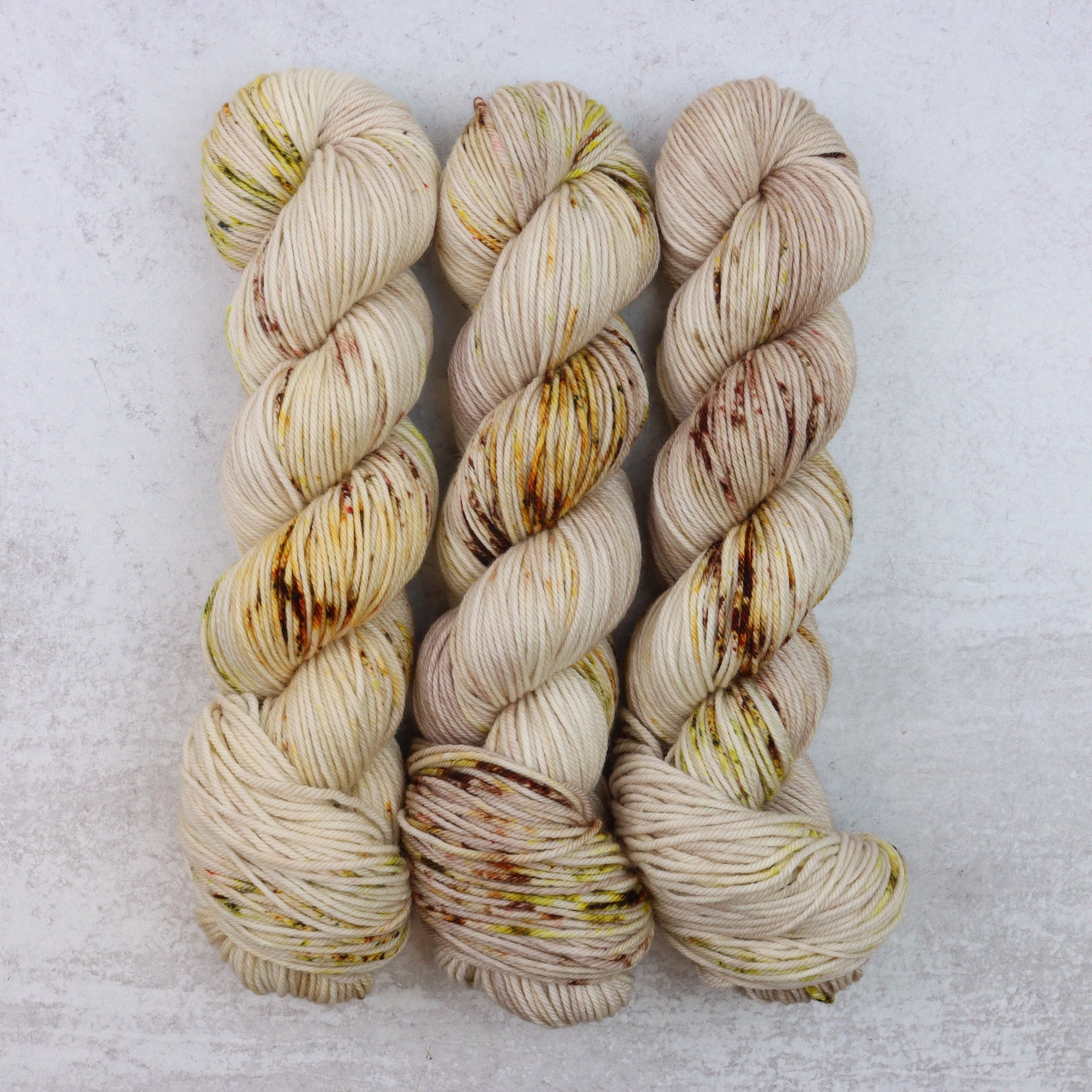 Biscuits - Squish DK
