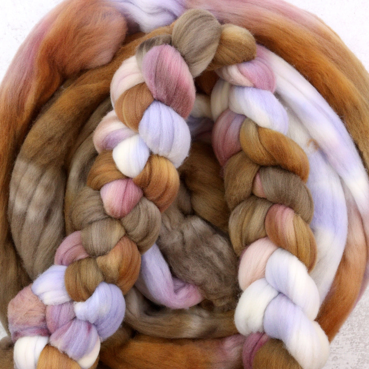 Coco - Rambouillet