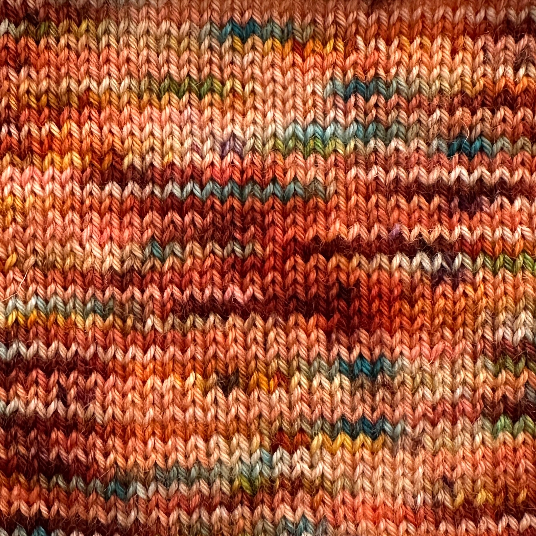Firebird - Squish DK