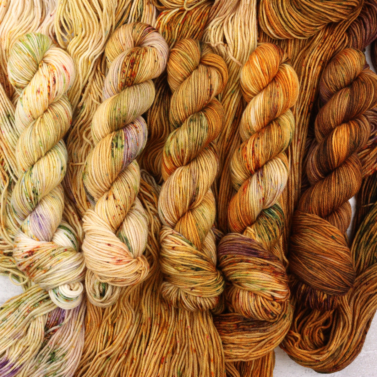 Harvest - Squish DK Fade
