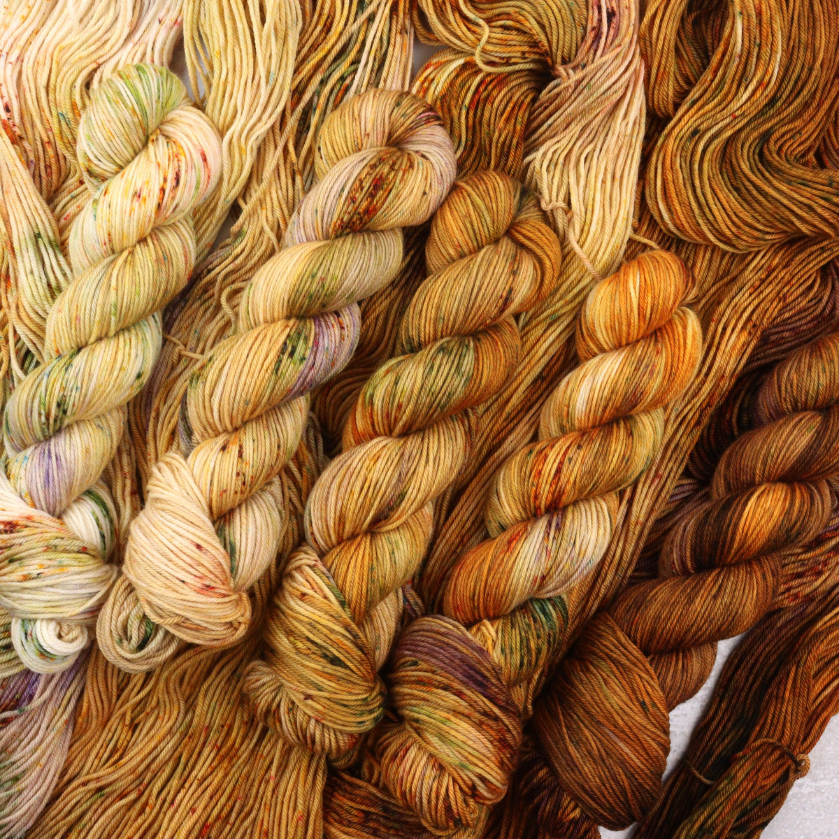 Harvest - Squish DK Fade