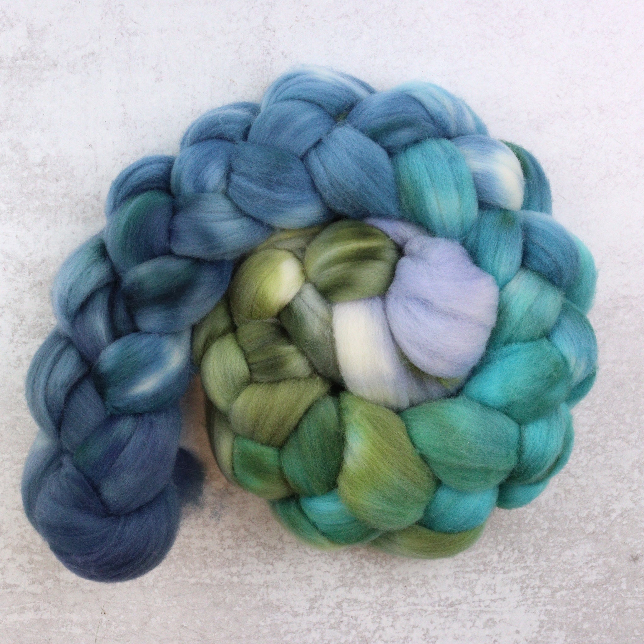 Hydrangea - Targhee