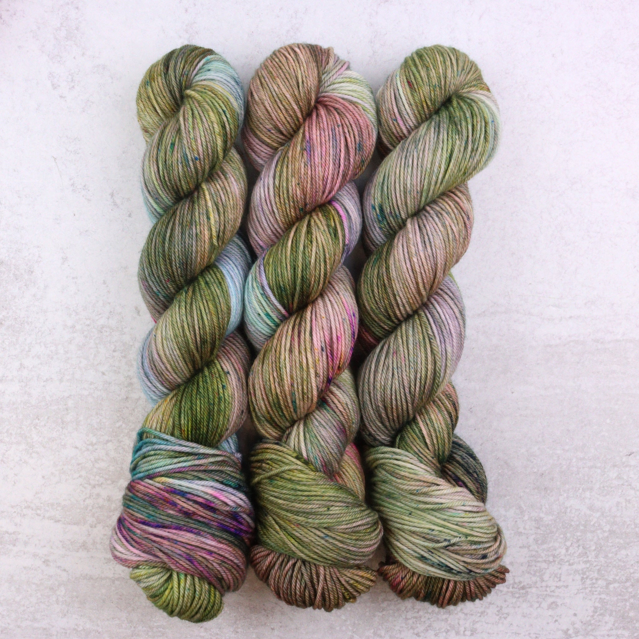 Later Gator - Squish DK