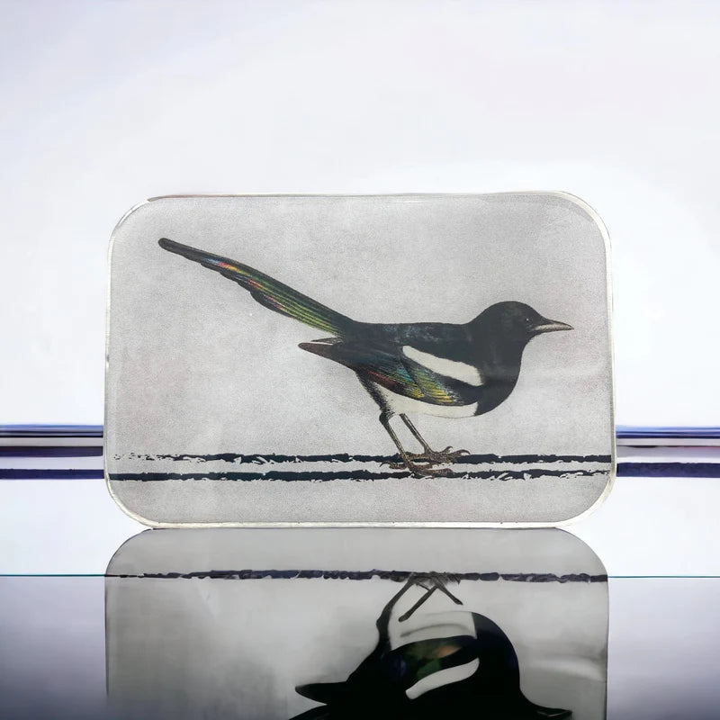 Firefly Notes - Magie Notions Tin