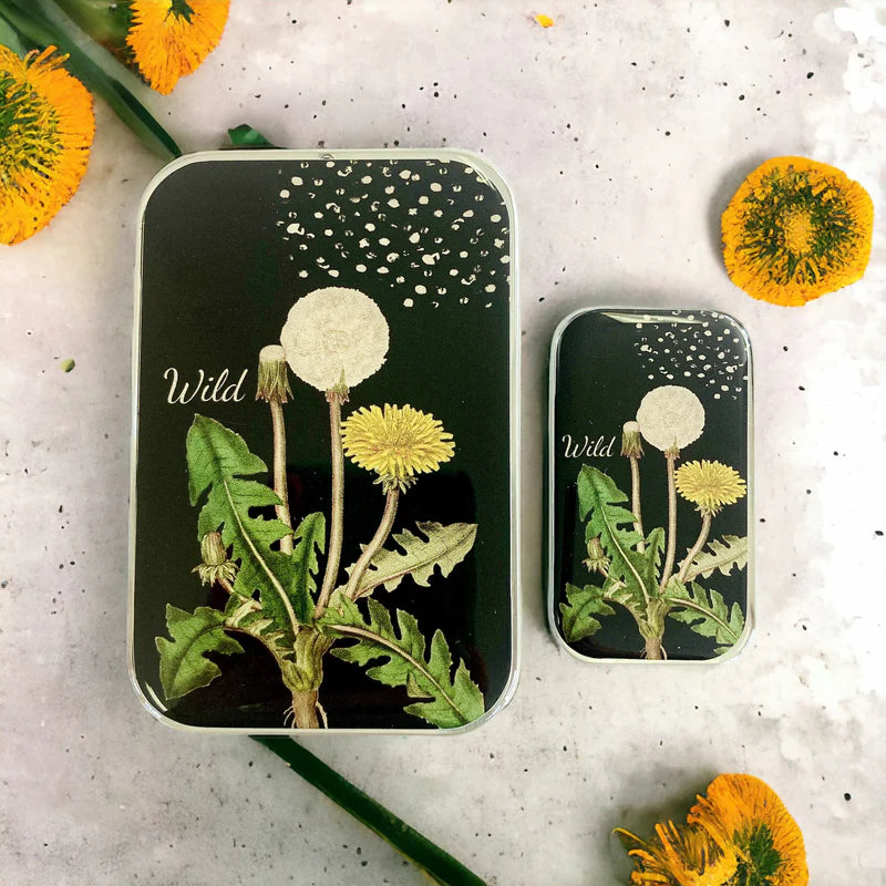 Firefly Notes - Dandelion Notions Tin