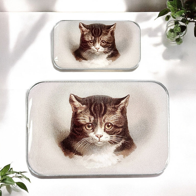 Firefly Notes - Vintage Cat Notions Tin