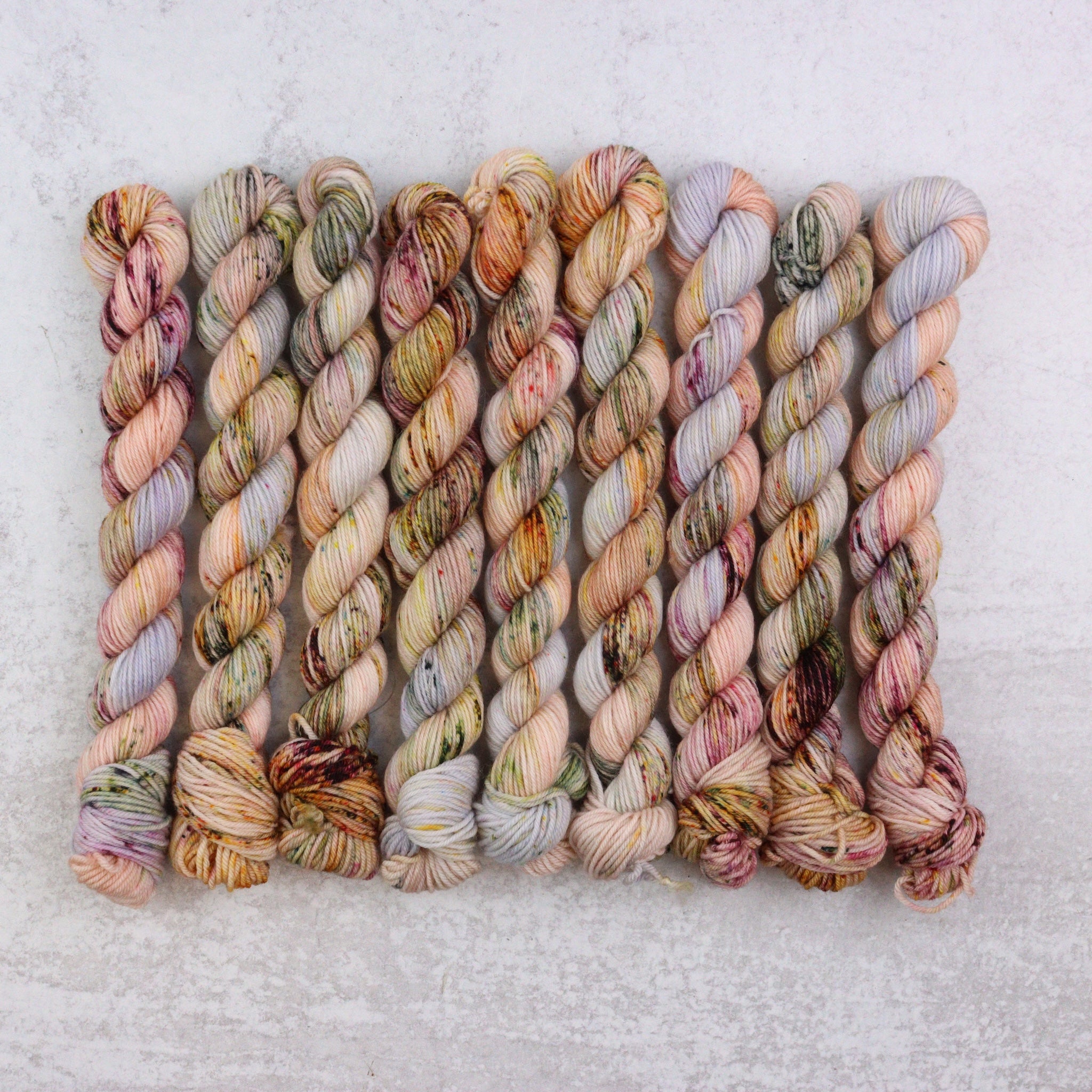 Pounce - Classic Sock Mini
