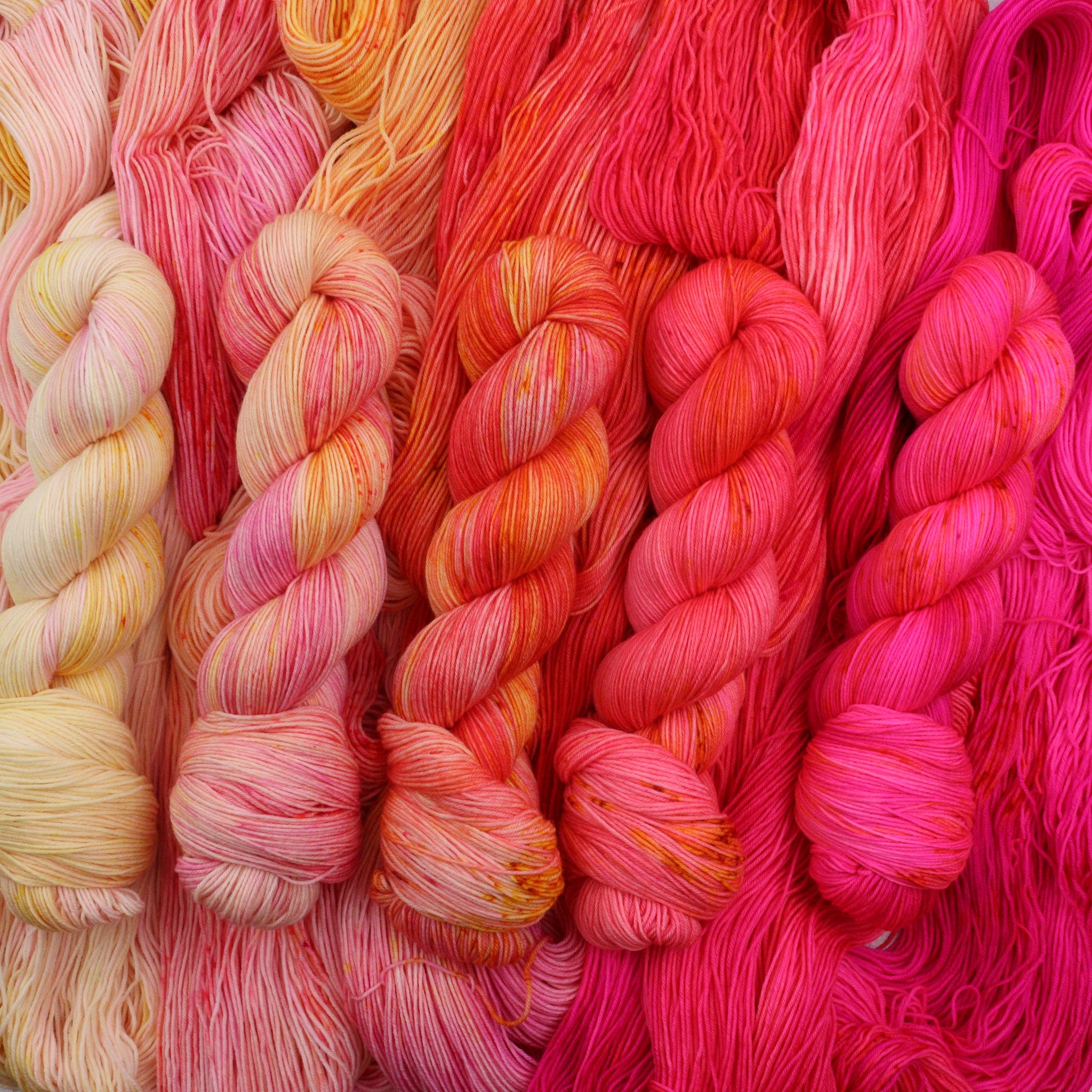 Sun Kiss - Classic Sock Fade