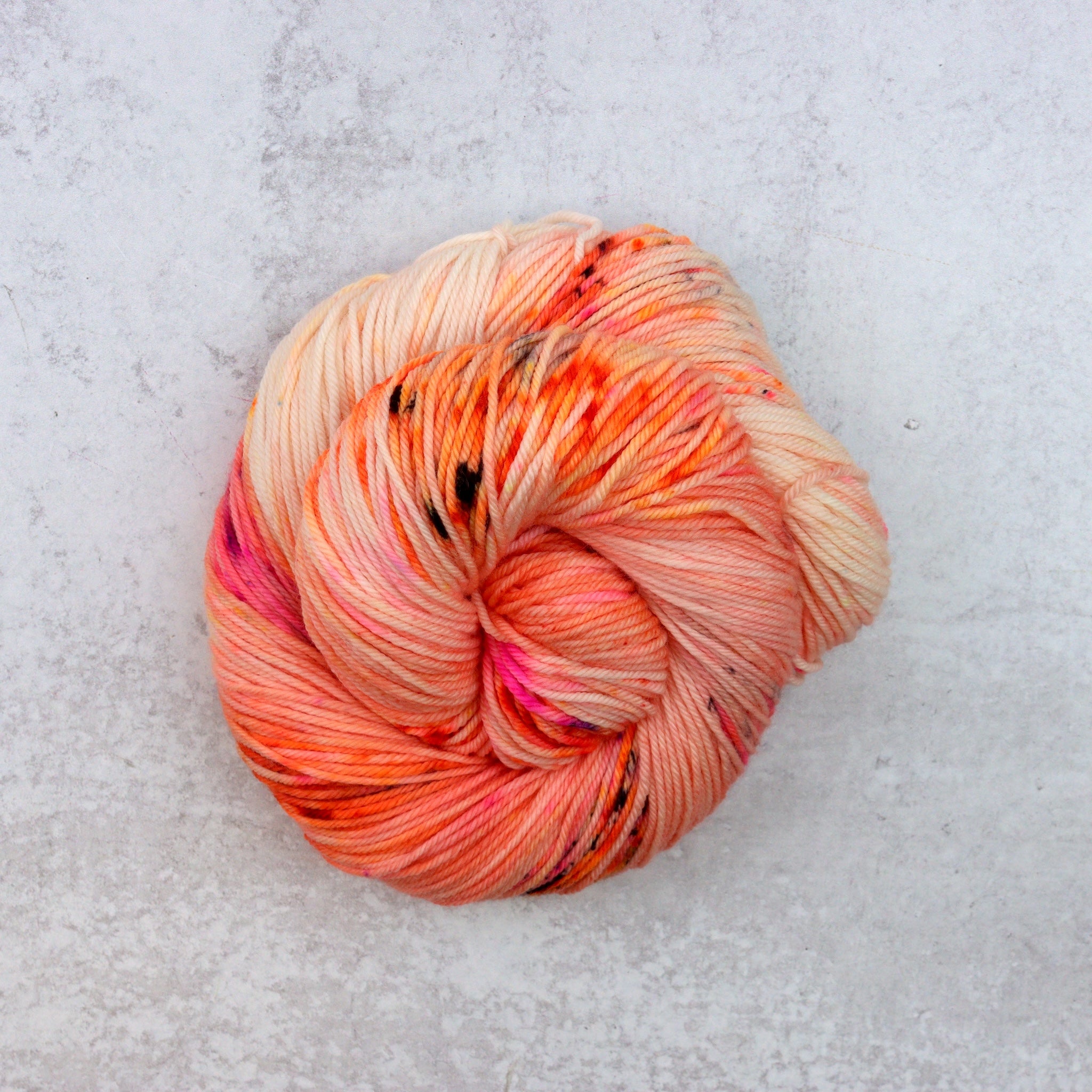 Coral Pop - Squish DK
