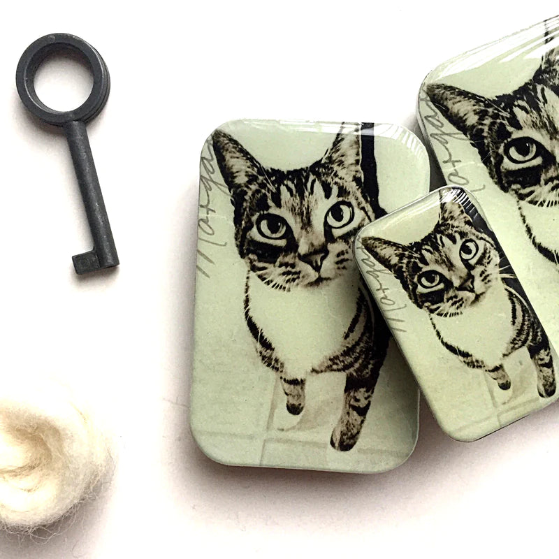 Firefly Notes -Cat Notions Tin (Small)